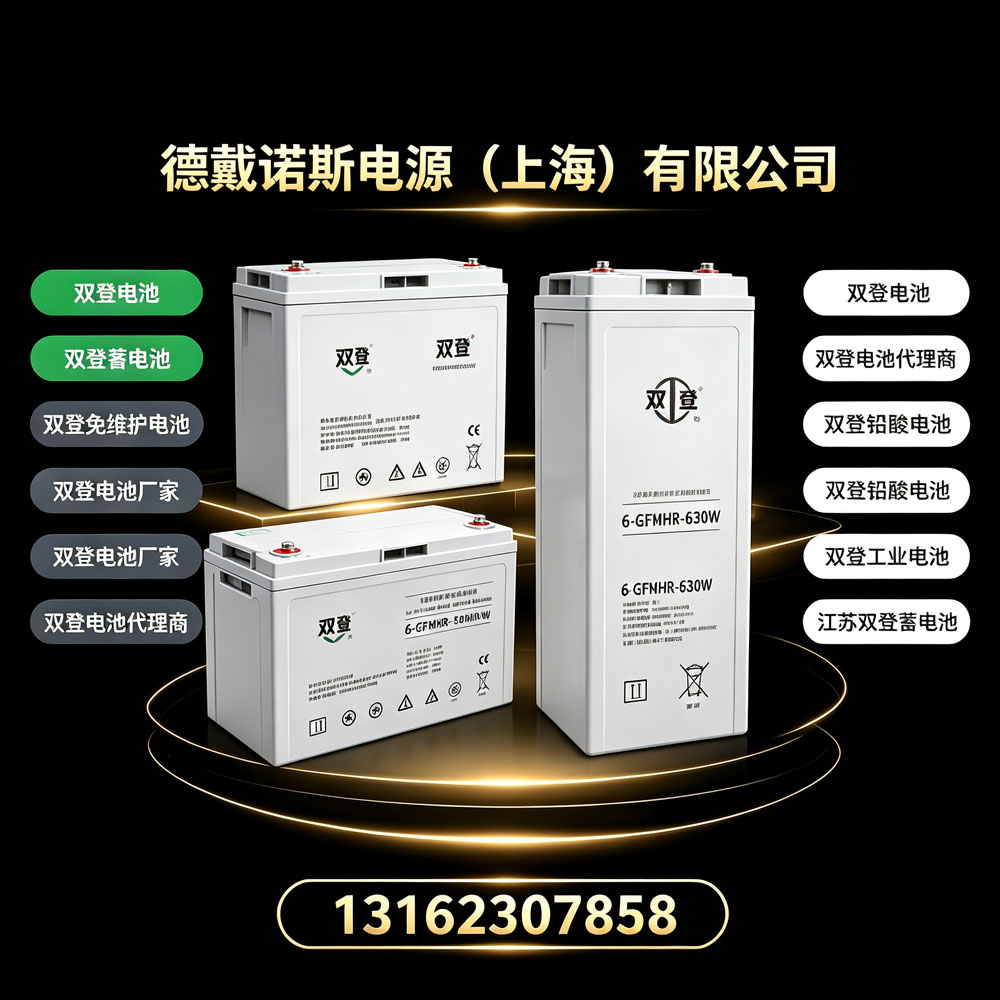 2026全新解读｜双登电池厂家技术优势 江苏双登蓄电池免维护电池运维服务